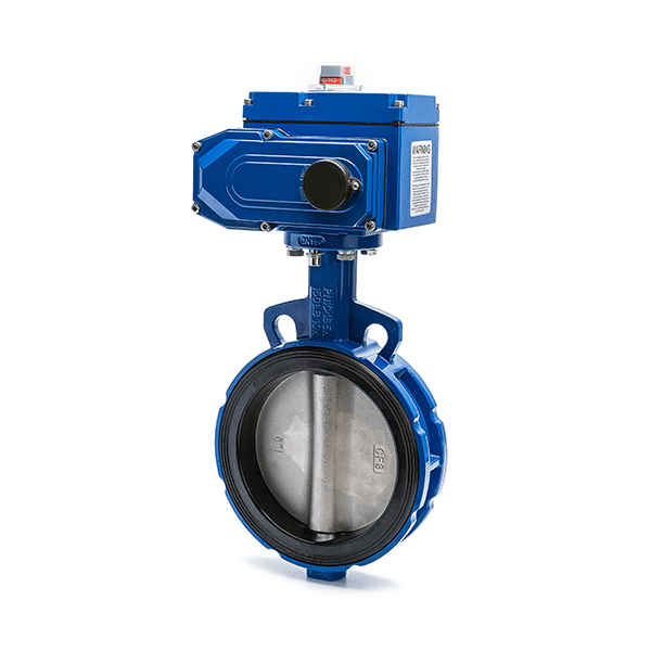 ما هي الأنواع المختلفة للصمامات الكهربائية؟